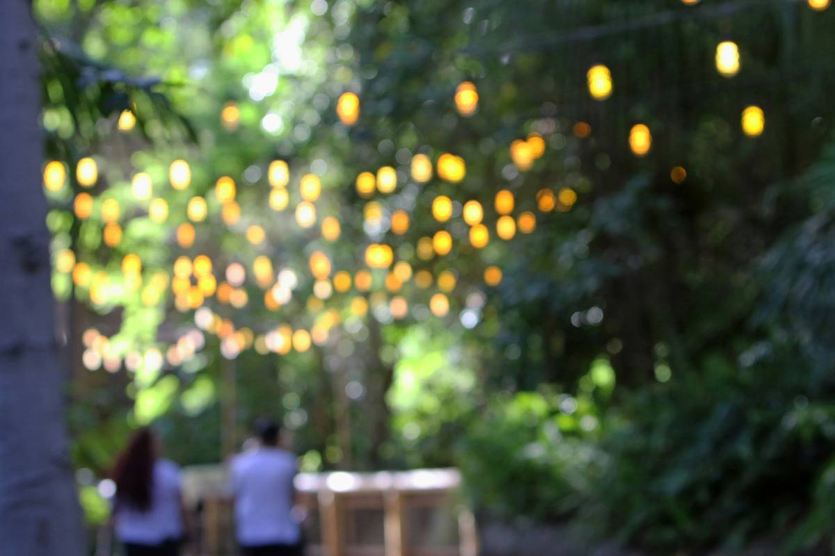 Outdoor smart led curtain lights draped over a wooden pergola at dusk, casting a warm white glow