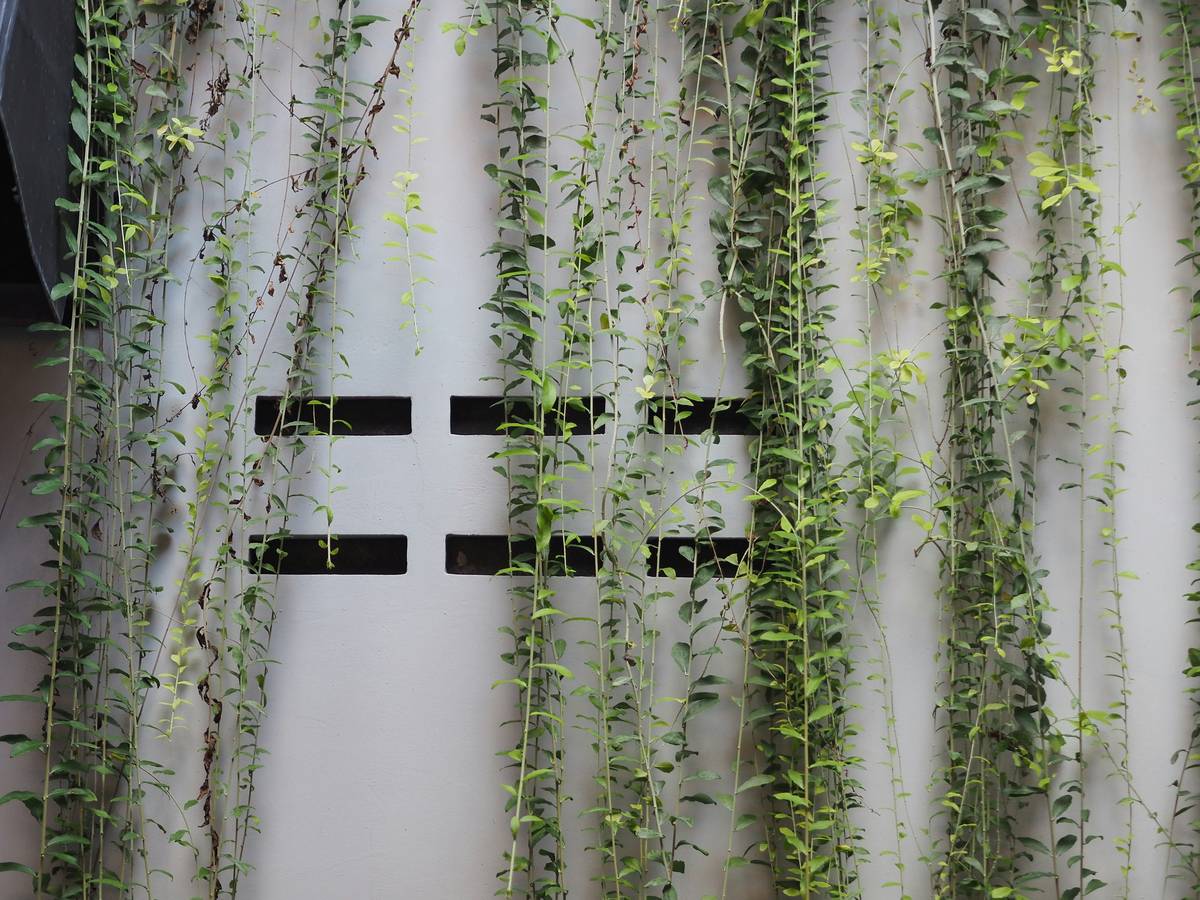 Comparison of outdoor curtain ideas showing proper installation height and hardware for wind resistance