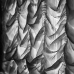 Silky Ornamental Feature Curtain: 7 Proven Ways to Avoid Costly Smart Home Blunders